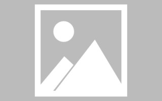 林州搭建外贸网站货到付款（外贸付款平台）